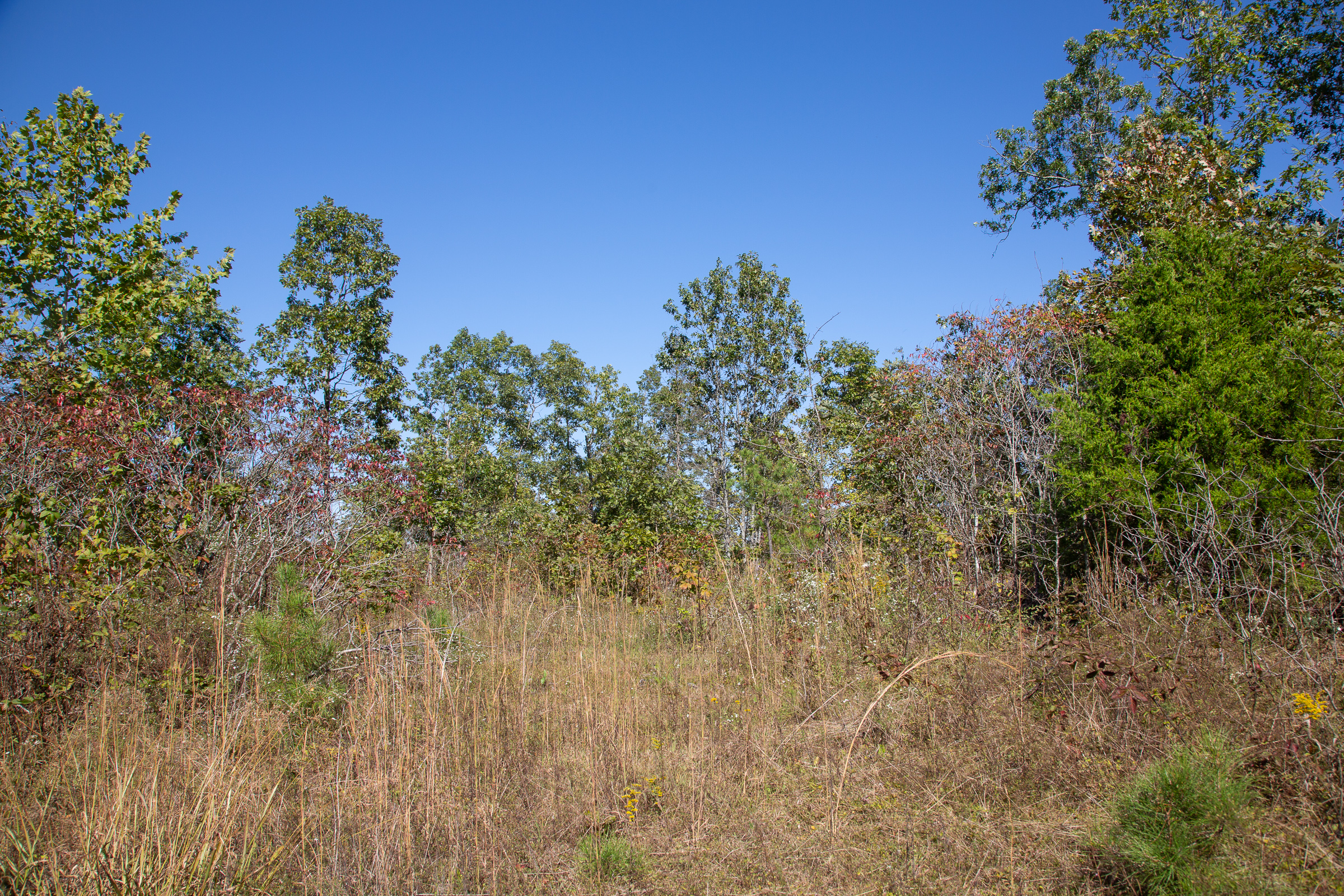 Tract 10 at Borgmanns Hollow Phase I in Shannon County, Missouri