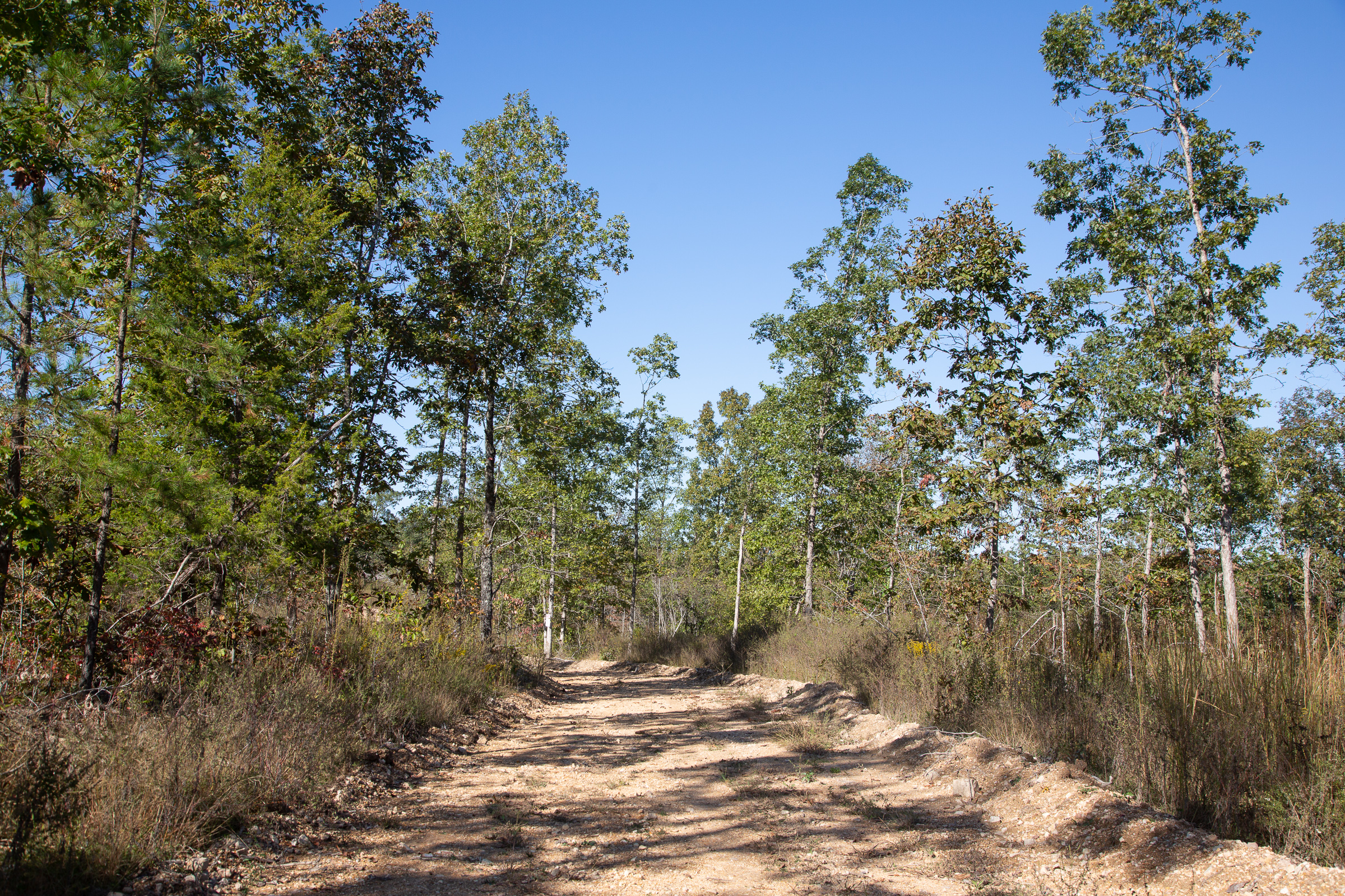 Tract 11 at Borgmanns Hollow Phase I in Shannon County, Missouri