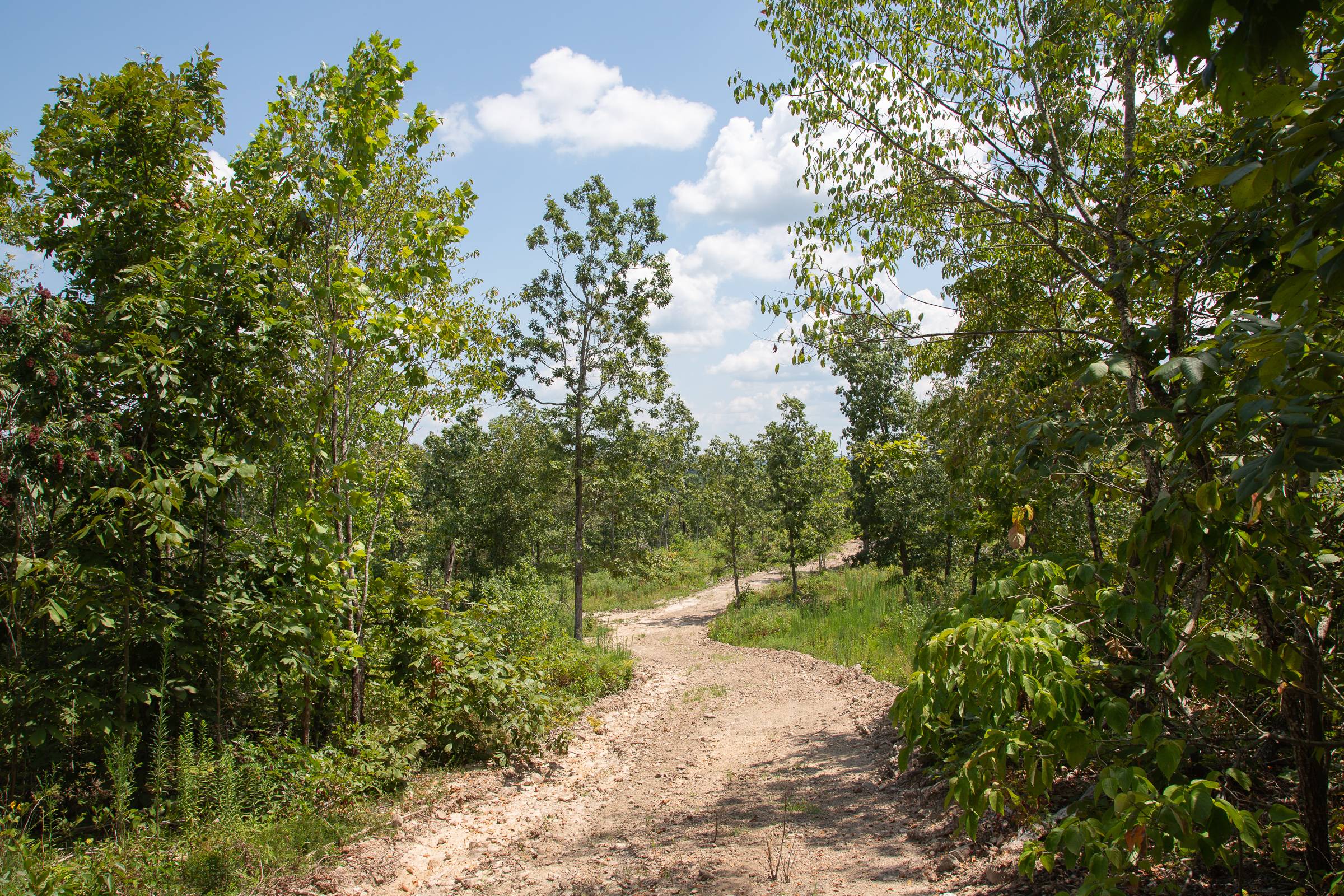 Tract 14 at Borgmanns Hollow Phase I in Shannon County, Missouri