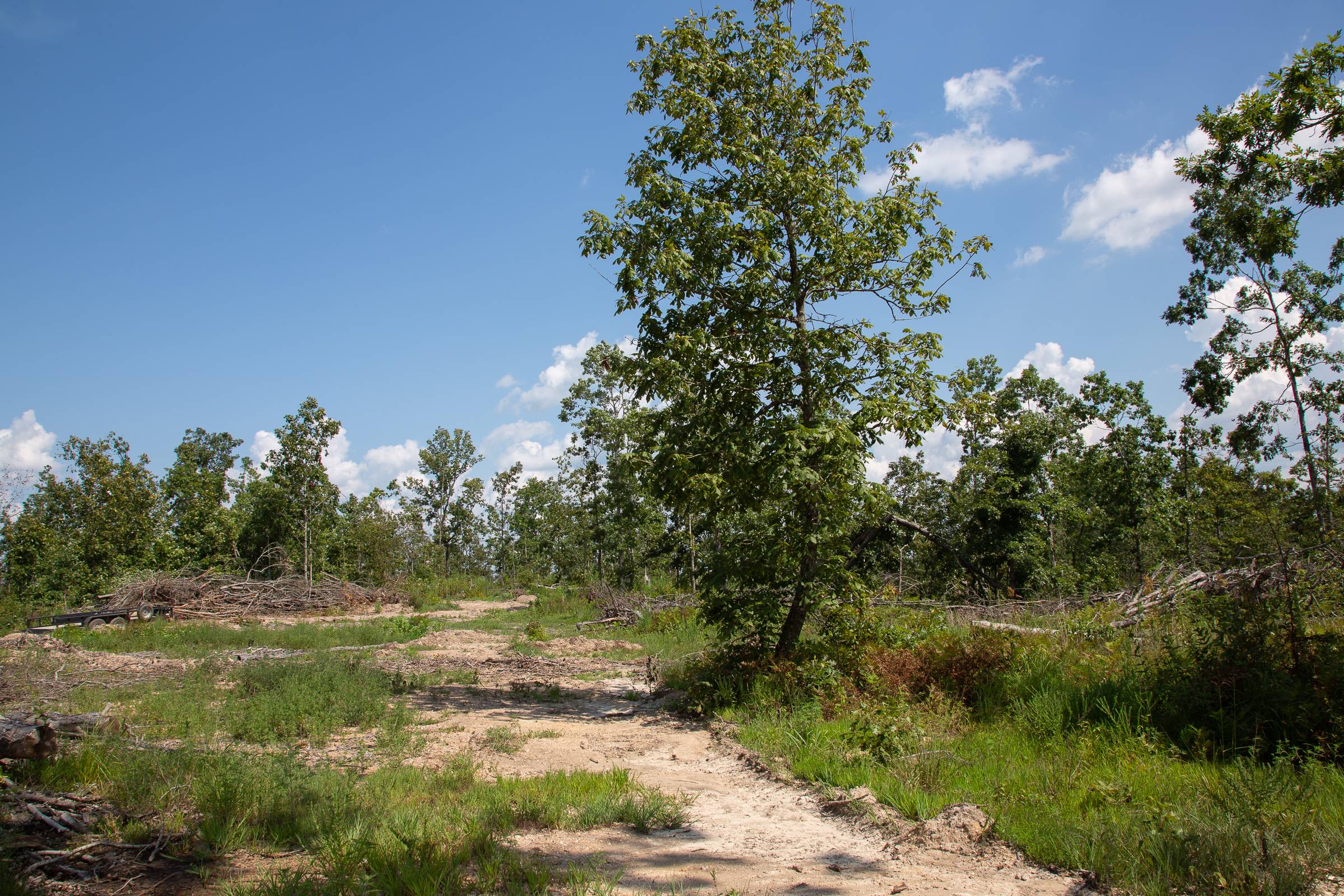 Tract 17 at Borgmanns Hollow Phase I in Shannon County, Missouri
