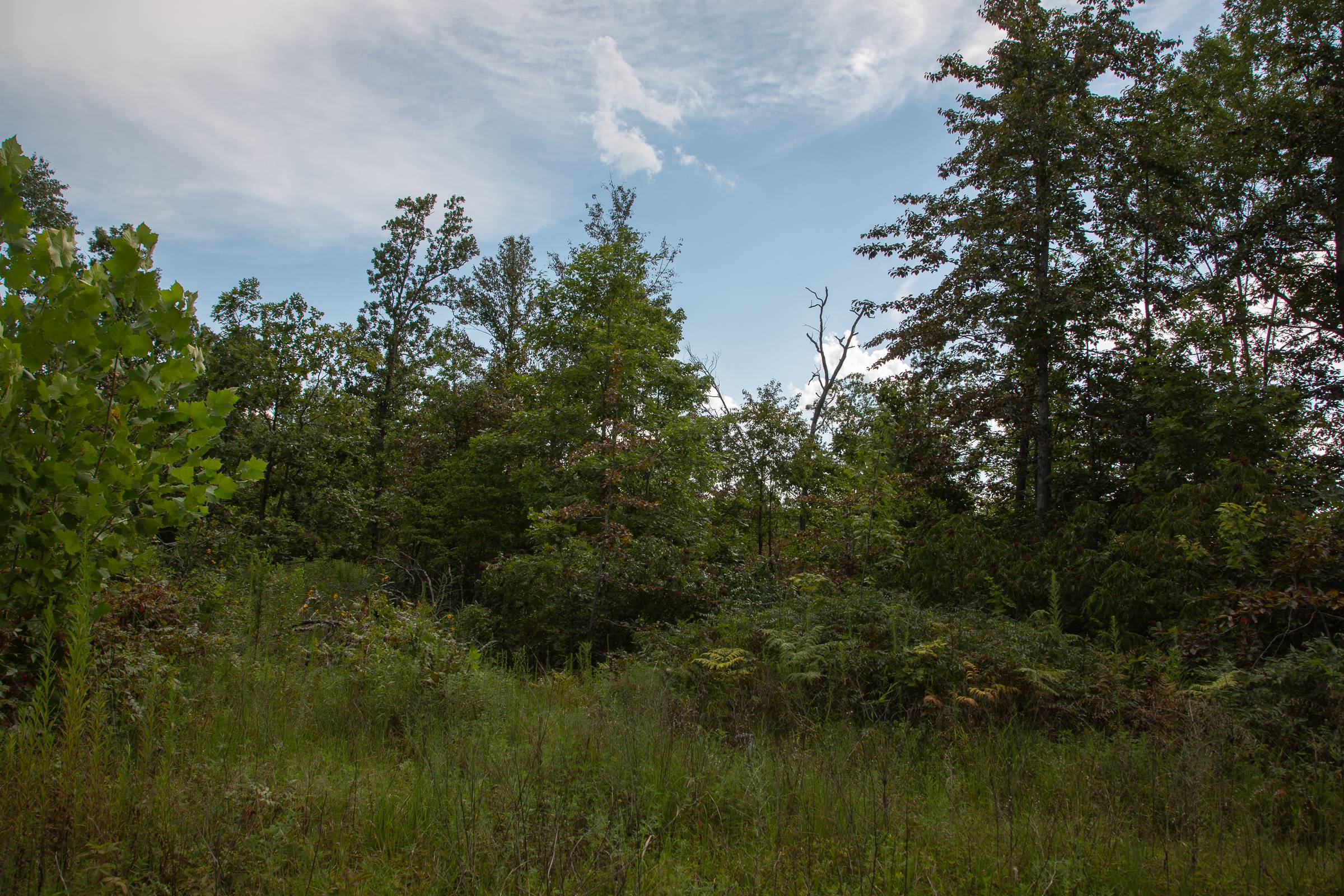Tract 23 at Borgmanns Hollow Phase I in Shannon County, Missouri