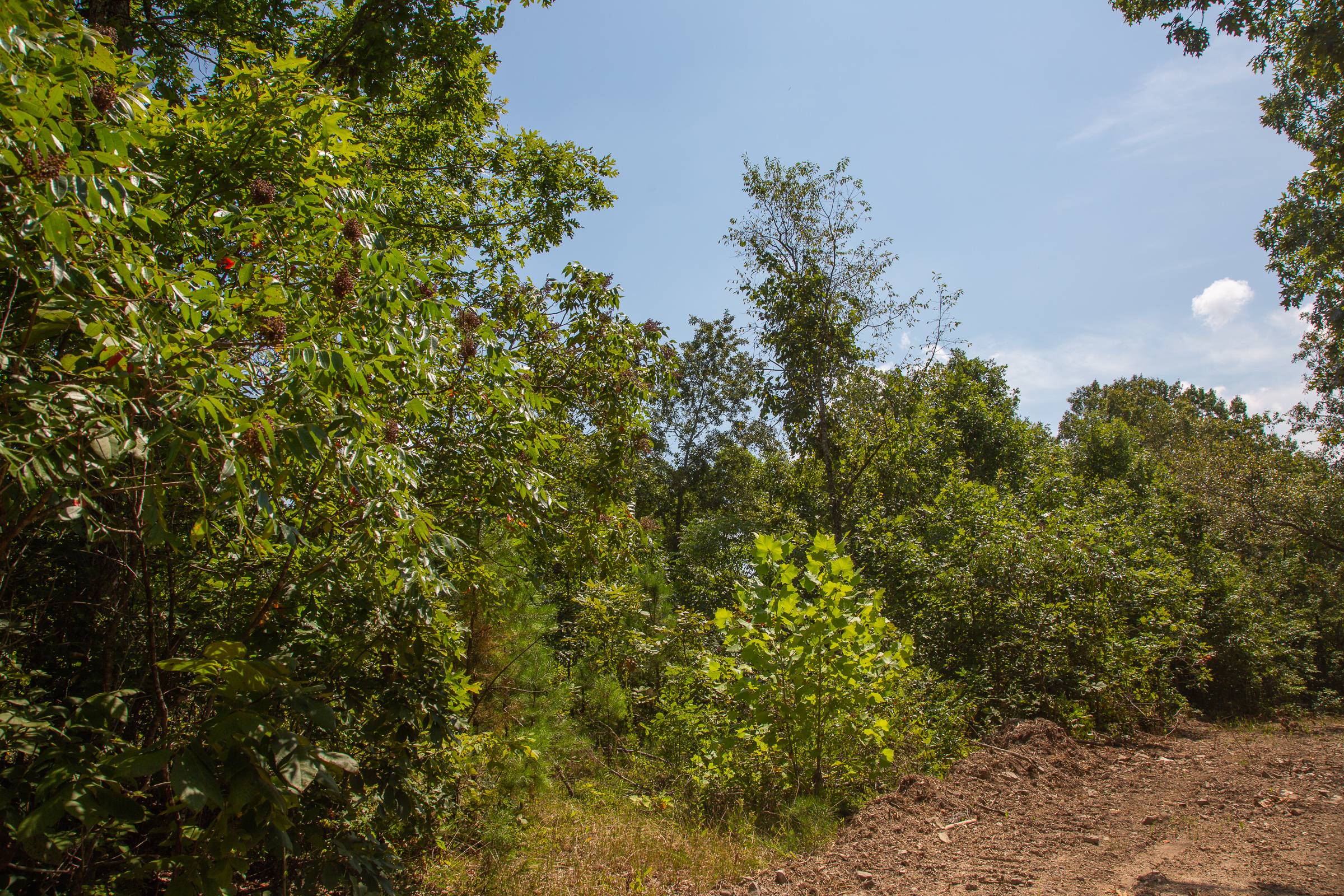 Tract 3 at Borgmanns Hollow Phase I in Shannon County, Missouri