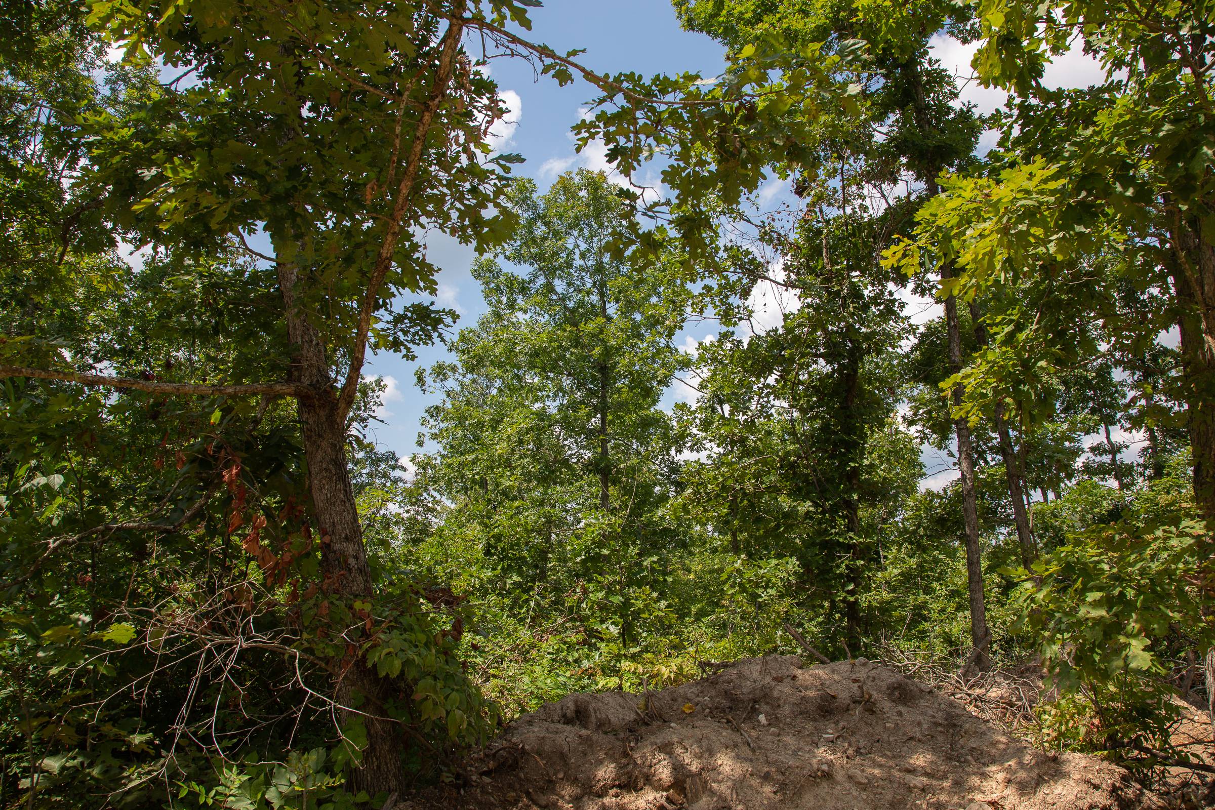 Tract 6 at Borgmanns Hollow Phase I in Shannon County, Missouri