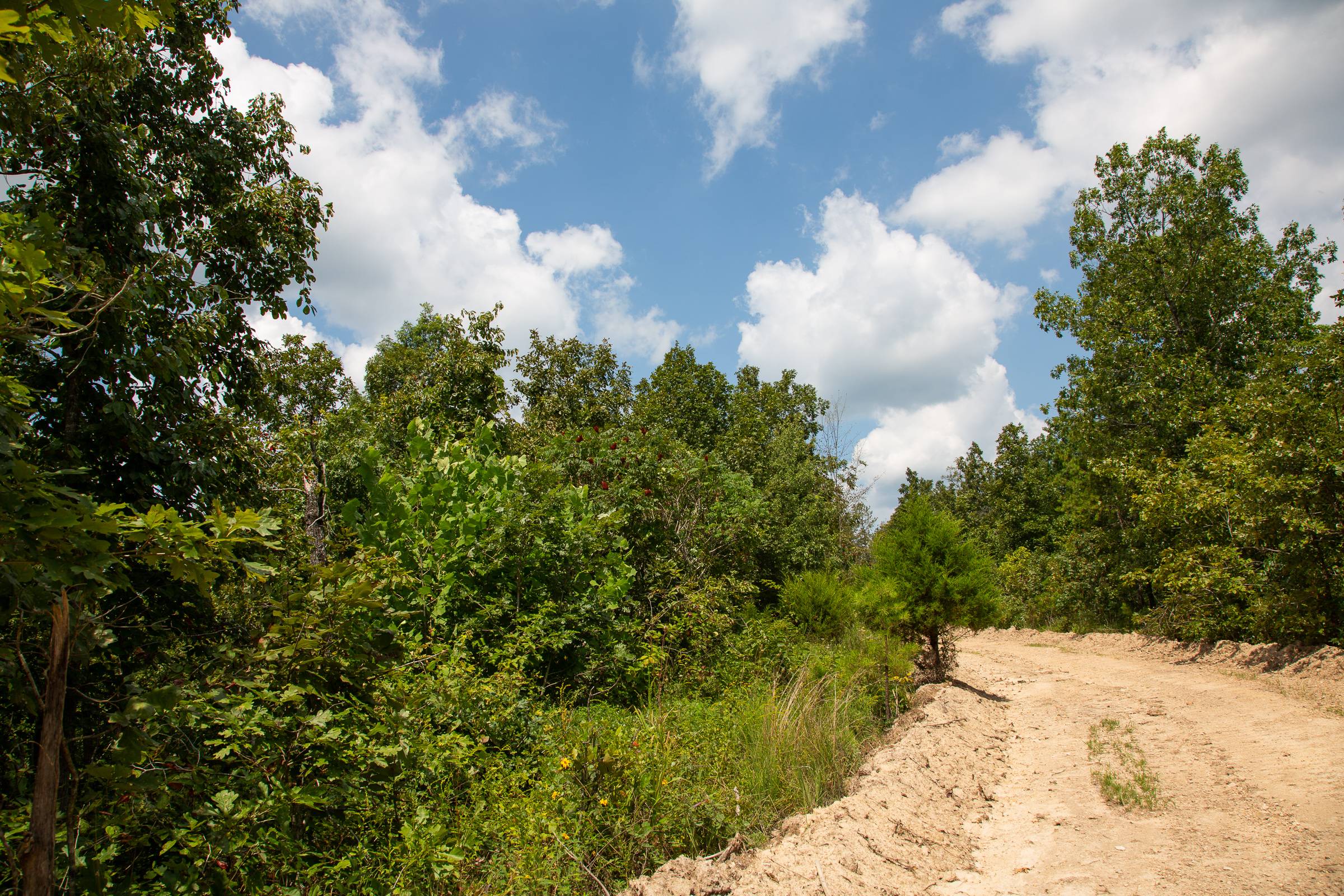 Tract 7 at Borgmanns Hollow Phase I in Shannon County, Missouri